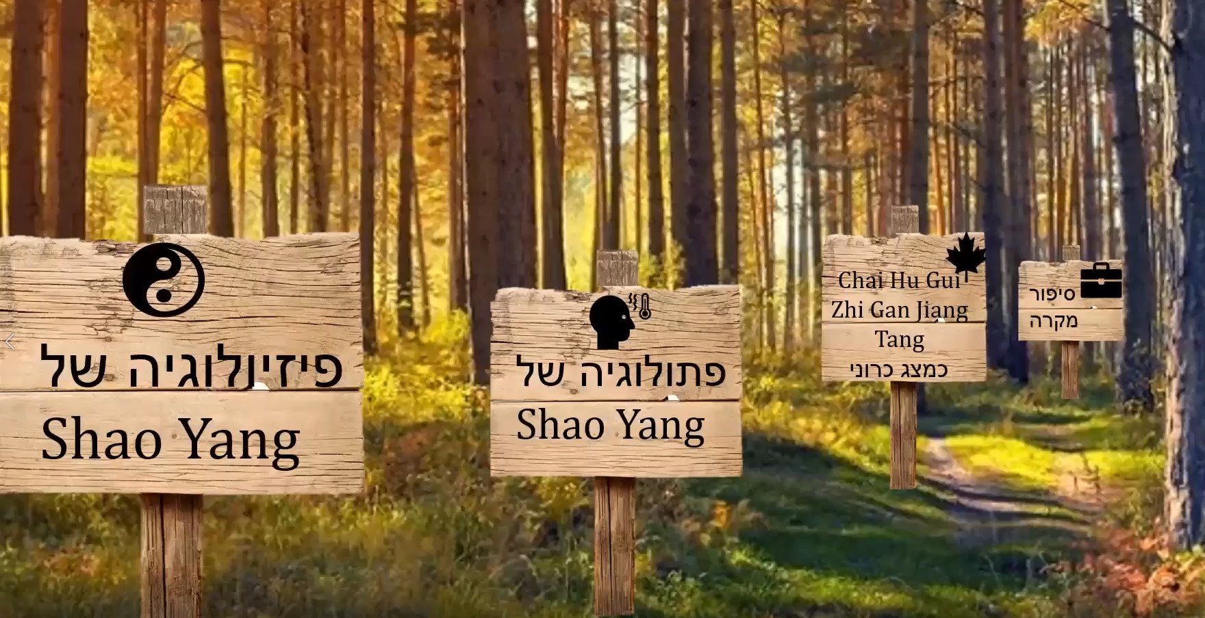 chai hu gui zhi gan jiang